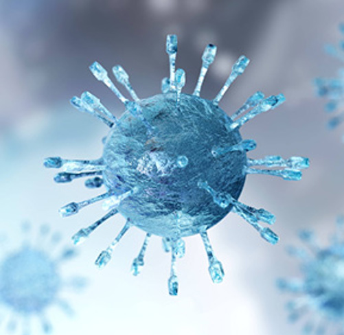 How we are dealing with the risks associated with the Coronavirus
